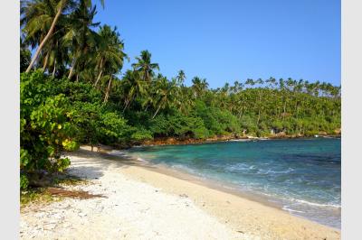 All alone - Midigama - Sri Lanka - 19.02