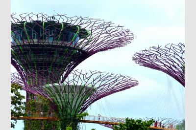 Gardens by the Bay - Singapore